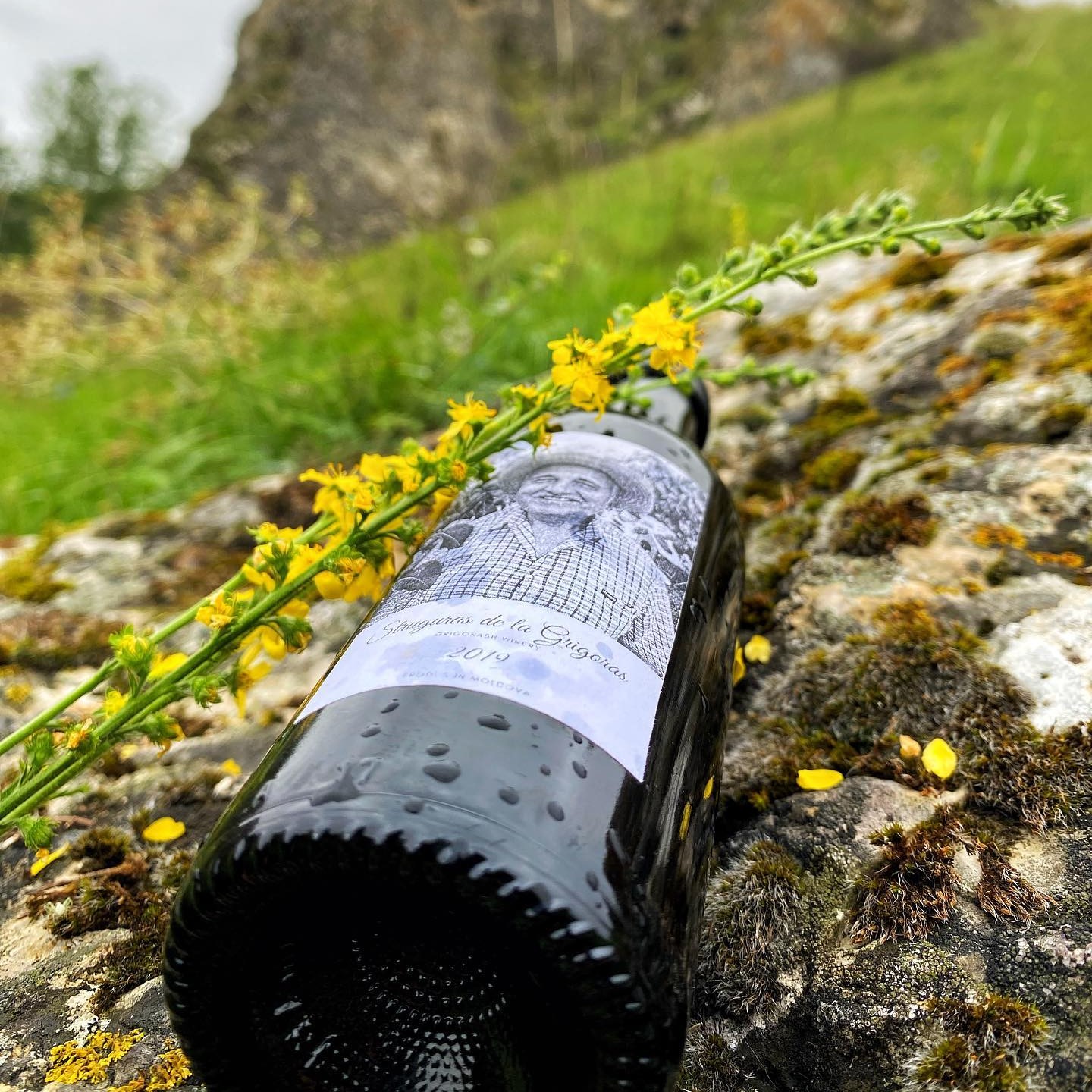 Un gust al tradiției